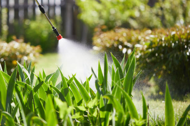 24/7 Emergency Mosquito Control experts in Churubusco, IN