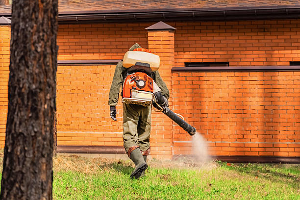 Top rated local Mosquito Control specialists in Churubusco, IN